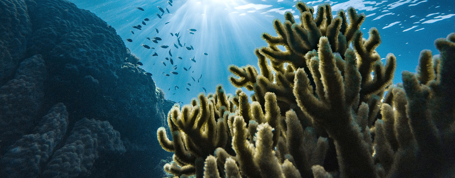 三達(dá)膜中水回用、陶瓷膜、石墨烯膜、黑金膜公眾號(hào)，歡迎您掃碼關(guān)注！